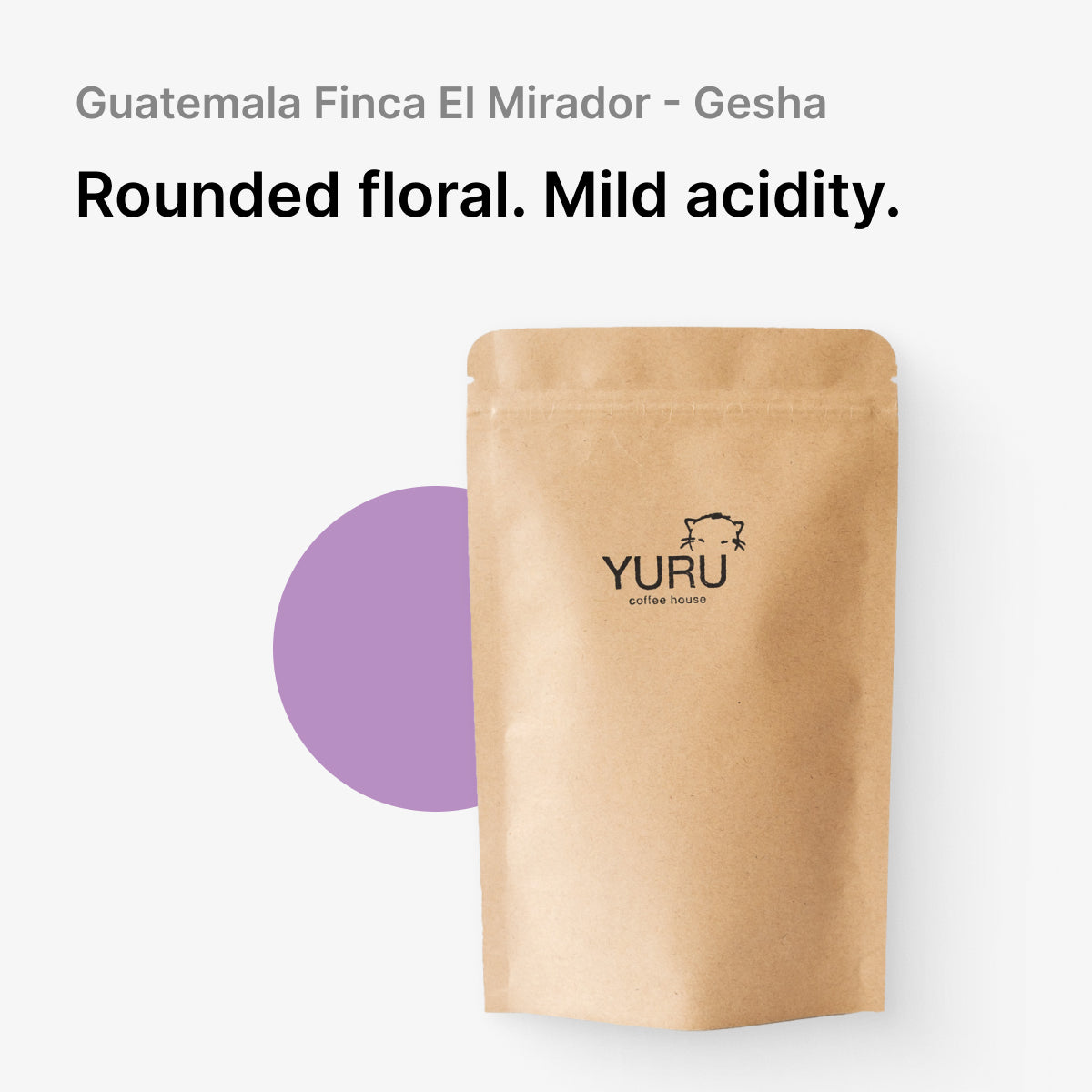 Guatemala Finca El Mirador - Gesha | Fully Washed