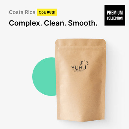 Costa Rica, Santa Teresa (CoE 8th 2022) - Gesha Natural