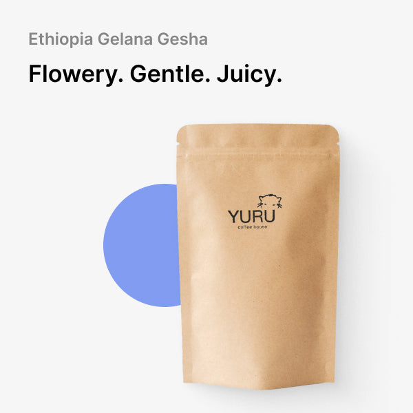 Ethiopia, Gelana - Gesha Natural