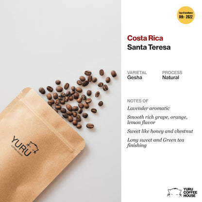 Costa Rica, Santa Teresa (CoE 8th 2022) - Gesha Natural