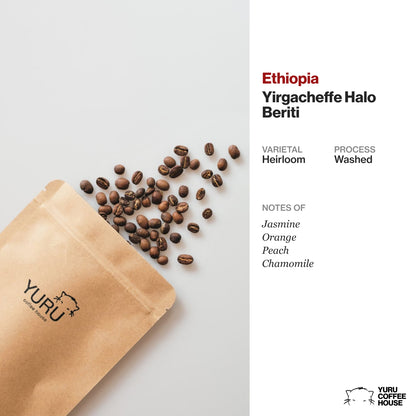 Ethiopia, Yirgacheffe Halo Beriti - Heirloom Washed